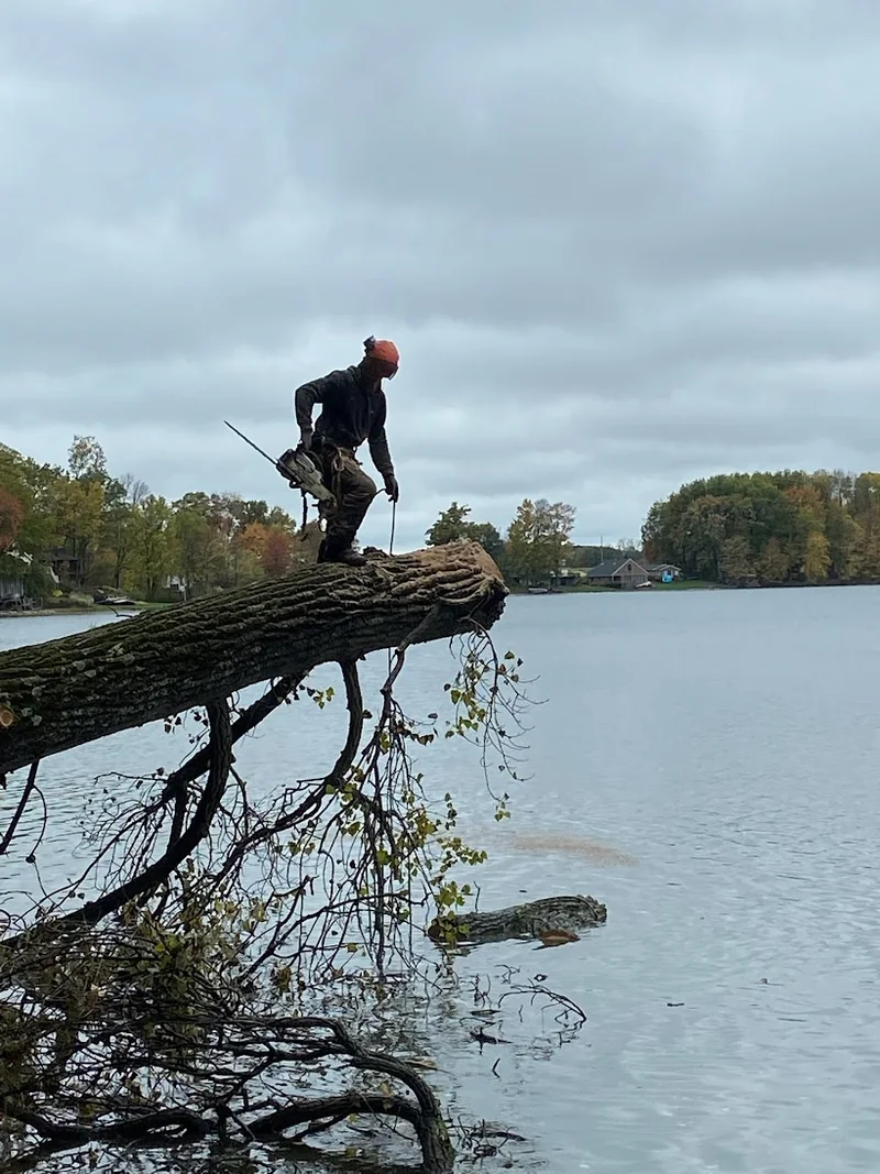 Christian Brothers crew removing a tree over the water