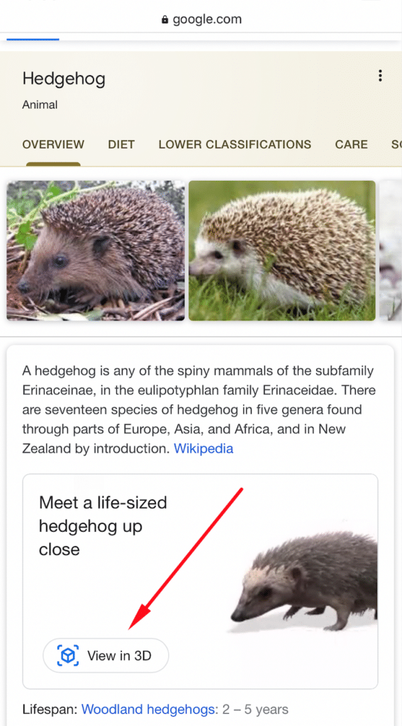 Hedgehog Google SERP Feature