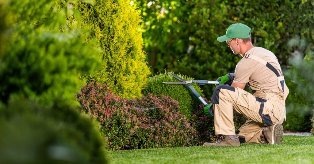 Avalanche's SEO Services for Landscaping Industry Avalanche's SEO Services for Landscaping Industry