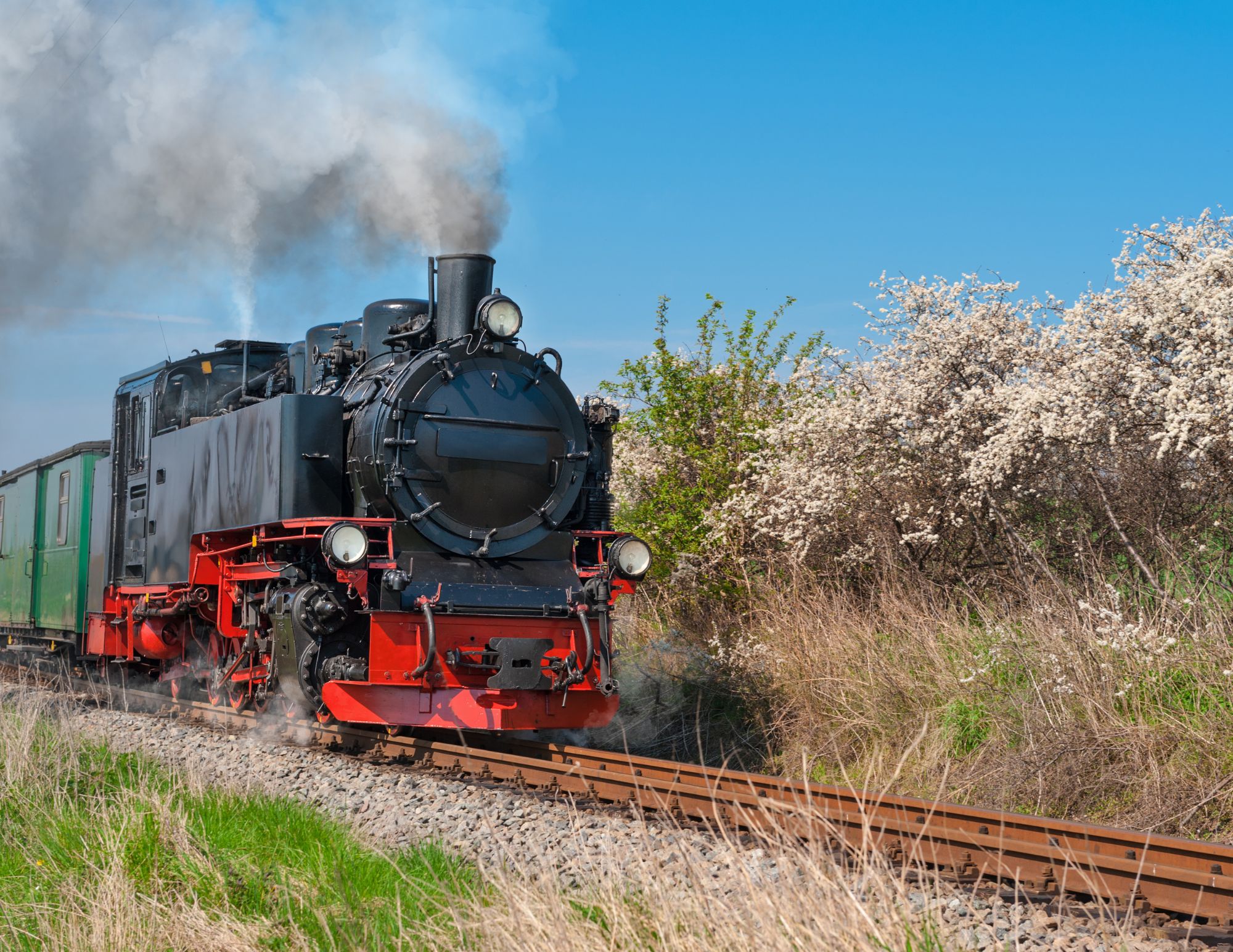 One Page Case Study - Tamarack