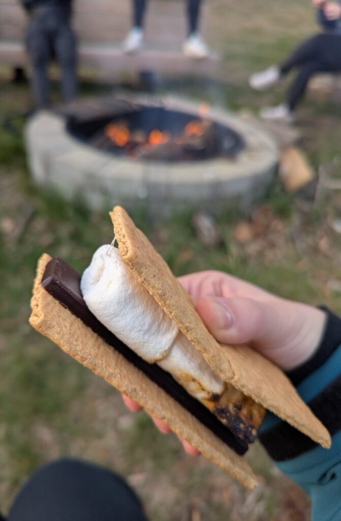 A hand holding a s'more in front of a fire pit