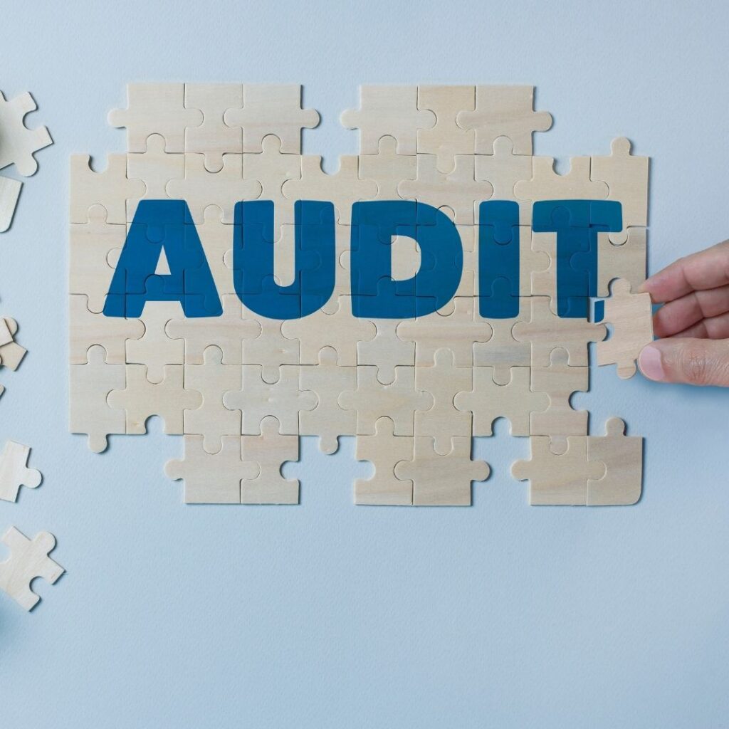 Audit Audit