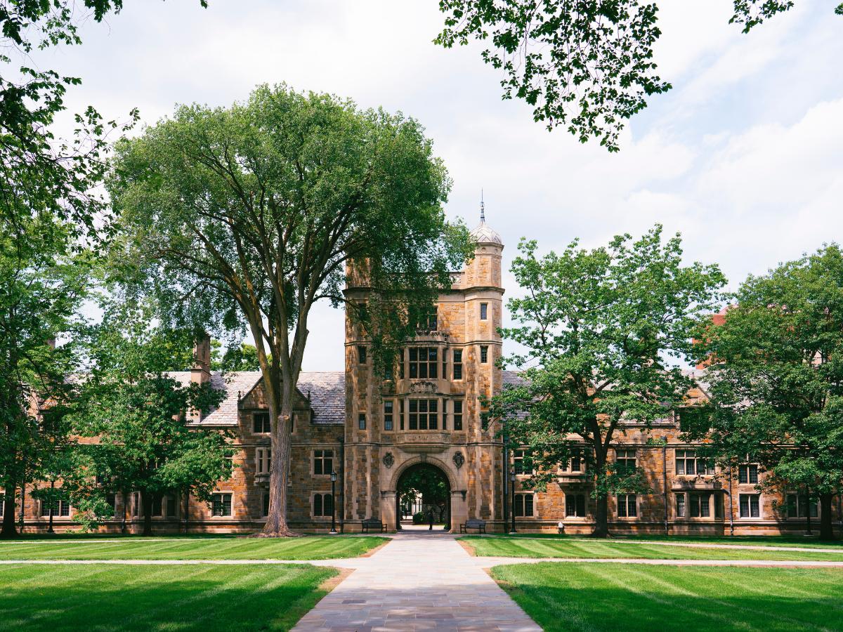 Ann Arbor 3