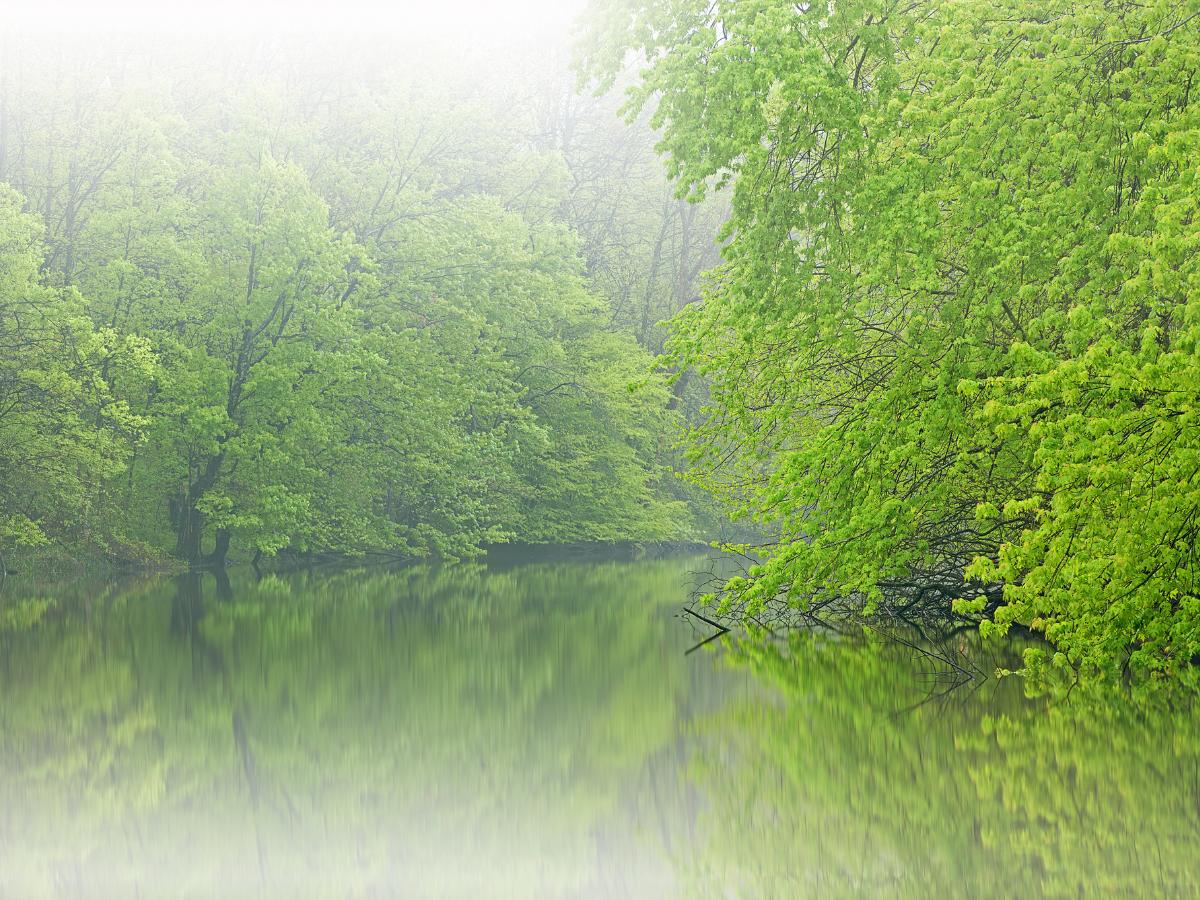 Kalamazoo River