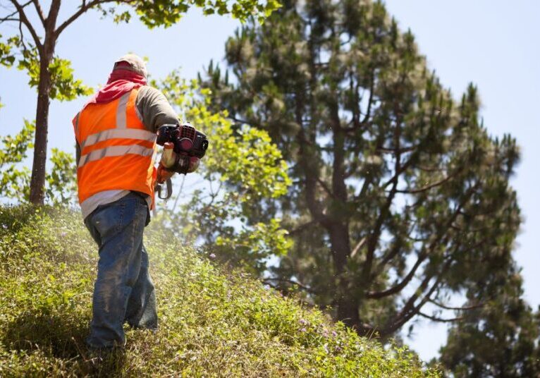 Landscaping Directories