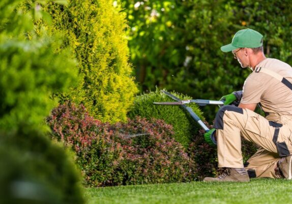 Avalanche's SEO Services for Landscaping Industry Avalanche's SEO Services for Landscaping Industry