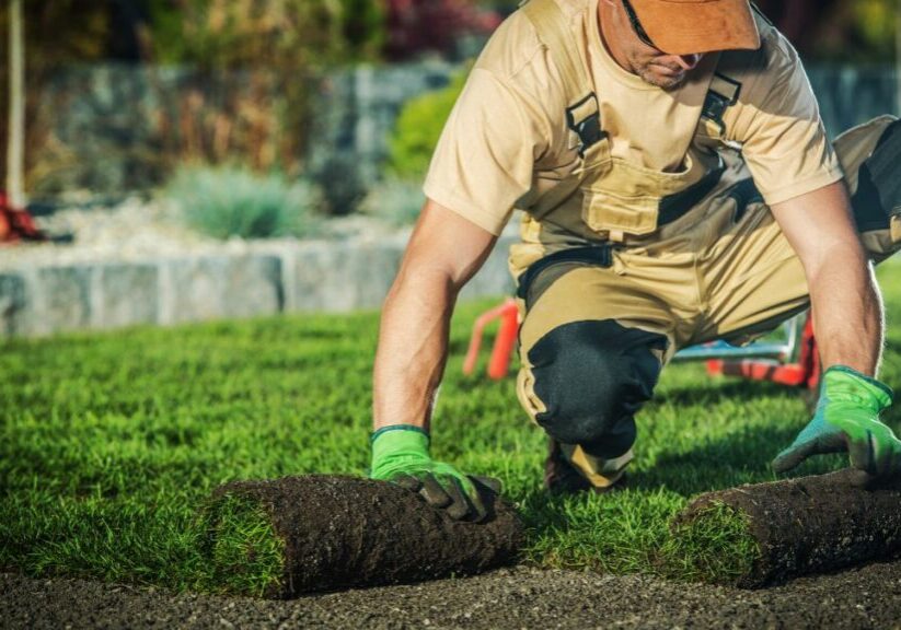 SEO for Landscapers
