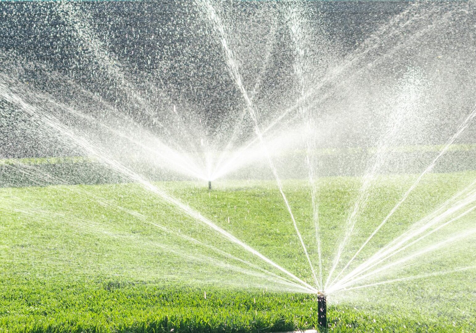 Garden irrigation system watering lawn. Automatic lawn sprinkler watering green grass.